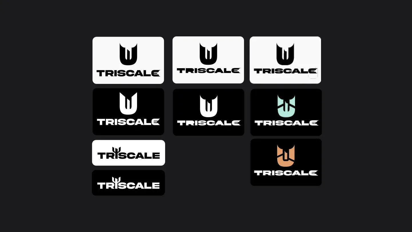 Triscale – Visual Identity 1